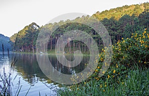 Romantic morning scenery of Huai Pang tong Reservoir and pine forests at Pang Oung,Pang Tong Royal Development Project,Ban Ruam Th