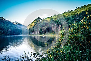 Romantic morning scenery of Huai Pang tong Reservoir and pine forests at Pang Oung,Pang Tong Royal Development Project,Ban Ruam Th