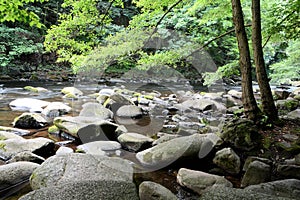 The romantic mountain stream Bode