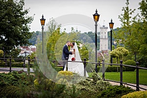 Romantic newlywed couple, groom kissing bride in european park w