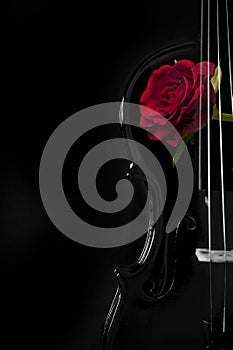 Romantic old black violin and red rose over black background