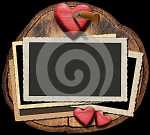 Romantic Photo Frames on Section of Tree Trunk