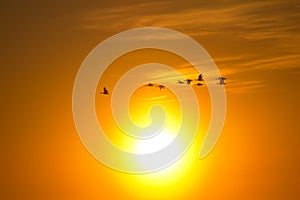 Romantic flight at sunset