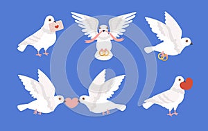 Romantic pigeons set, bird carrying wedding ring, heart and love letter - cartoon flat vector illustration isolated.