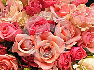 Romantic pink flowers img