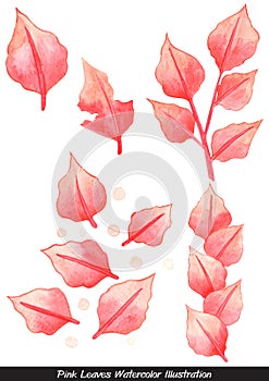 Romantic pink leaves watercolor illustration for decoration on Autumn.