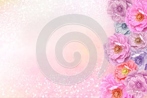 Romantic pink purple roses flower border on soft glitter background for valentine or wedding card in pastel tone