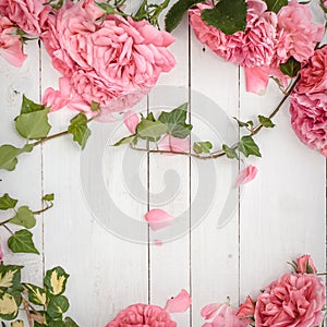 Romantic pink roses and branches of ivy on white wooden background