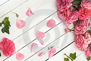 Romantic pink roses on white wooden background