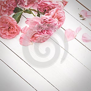 Romantic pink roses on white wooden background