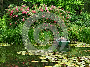 Romantic pond