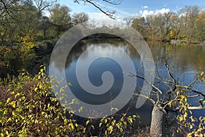 Romantic pond in Central Bohemia