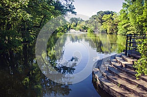 Romantic pond springtime