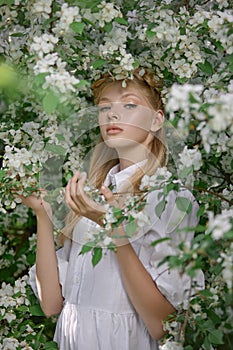 Romantic portrait of a girl in the park near a blooming apple tree. Natural cosmetics. Natural beauty of a woman in a white dress