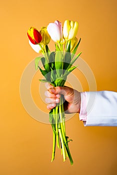 Romantic present. Hand with flower. Tulips for woman. Spring flowers. Date.