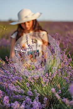 Romantic reading woman on lavender field