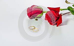 Romantic red roses and engagement rings isolated on white background.