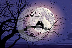 Romantic rendezvous Birds in love silhouetted against a full moon