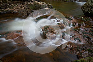 The romantic river Ilse near Ilsenburg in the Harz National Park in Germany