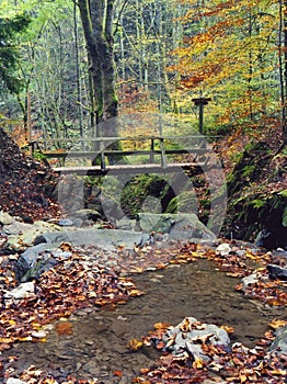 Romantic rivulet with bridge photo