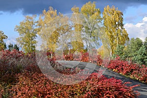 Romantic Roller-skating rink