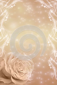 Romantic rose flower with stars and decorative frame like flowery background with copy space in soft beige color