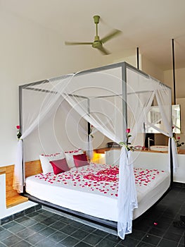 Romantic rose petals on a bed