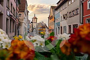 romantic Rothenburg ob der Tauber in the evening with springflowers