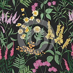 Romantic seamless pattern with tender wild blooming flowers and meadow flowering herbs used in floristry on black