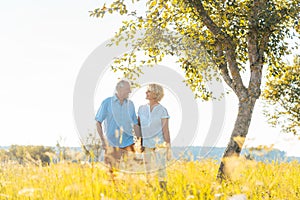 Romantic senior couple holding hands while walking together in a field