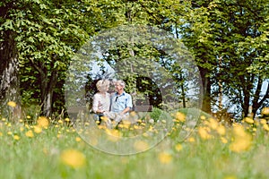 Romantic senior couple in love dating outdoors in an idyllic park