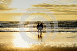 Romantic senior couple of retirement age looking out to sea at sunset