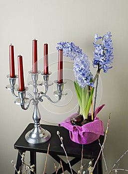 Romantic spring still life with candles, blooming hyacinths and willow