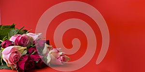 Romantic still life, red roses on a red background. Postcard Concept for Women& x27;s Day and Valentine& x27;s Day.