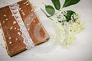 Romantic still life. Vintage book with a branch with elderberry flowers close-up. Spring Readings.