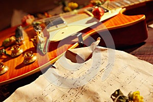 Romantic still life with a vintage electric guitar, dried flowers and old sheet music closeup