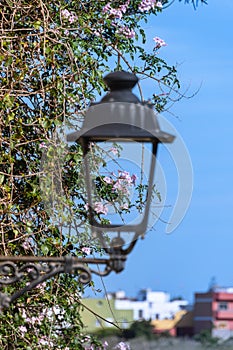 Romantic Street Lantern Scene