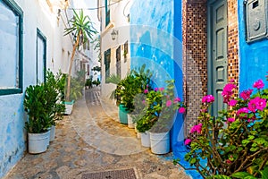 Romantic street, pots of plants and flowers in white medina of Asilah, Morocco