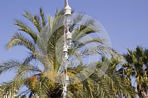 Romantic streetlights in park