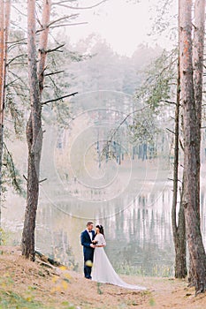 Romantic stroll of newlywed couple on the forest lake sandy shore