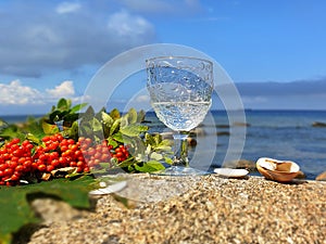 Romantic Summer Hello Autumn August Season Wild tree Autumn leaves and stone on beach sand red Rowanberry glass fres