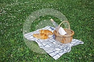 Romantic summer picnic lunch outdoors. Wicker basket with croissants and bottle of rose wine on checkered cloth on grass in park