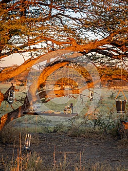 A romantic sundowner in Africa, Onguma Game Reserve, Namibia.