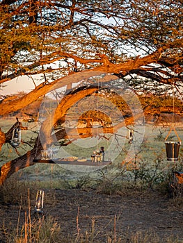 A romantic sundowner in Africa, Onguma Game Reserve, Namibia. photo
