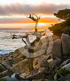 Romantic sunrise near Point Lobos