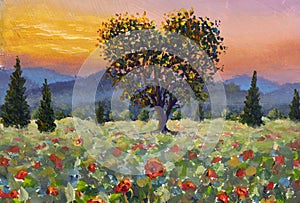 romantic sunset over a poppy meadow illustration modern artwork