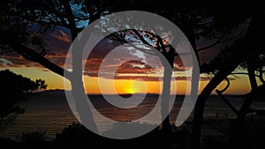 Romantic sunset on sea, pines silhouette on foreground, Piombino, Italy