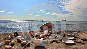 Sunset on sea romantic Seascape skyline horizon seashell on rock blue sky old town city  port of Tallinn,Estonia,Baltic Sea