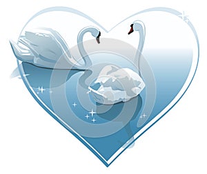 Romantic swans couple in a heart shape. Vector illustration