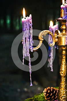 Romantic table with moss, candles dripping